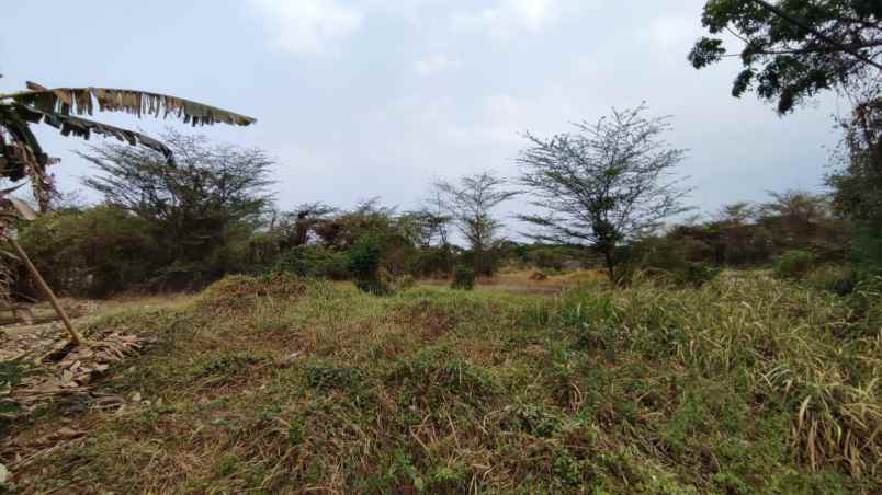 dijual tanah nol jalan raya geger cerme gresik