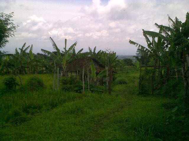 dijual tanah pacet mojokerto