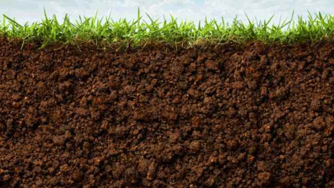 dijual tanah pakuwon city