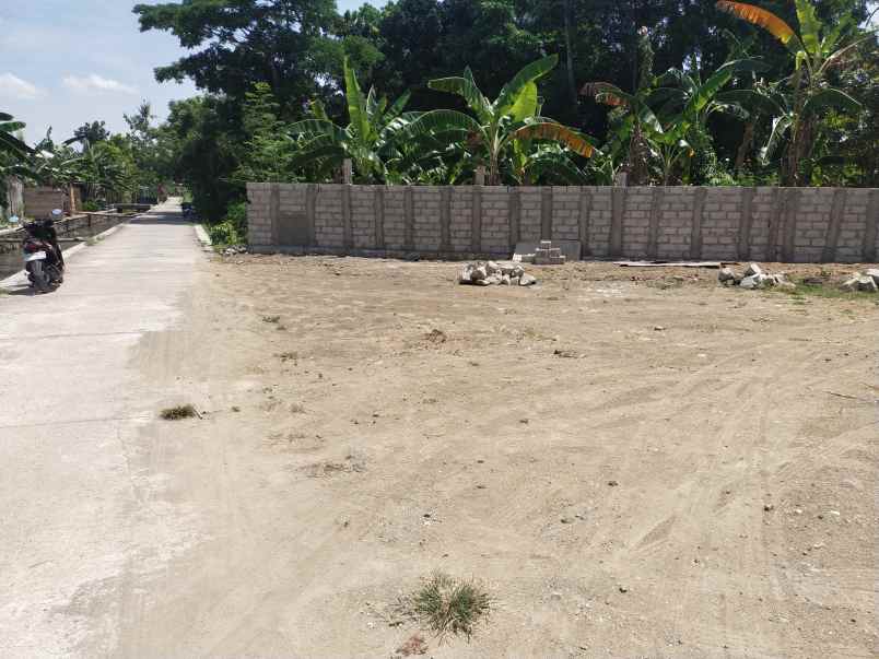 dijual tanah pekarangan area madurejo prambanan sleman
