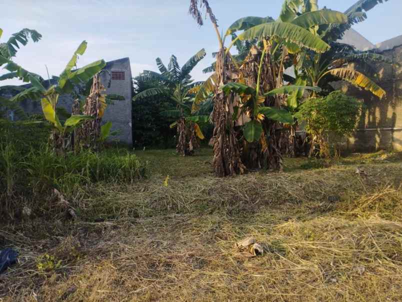 dijual tanah perum peruri teluk jambe