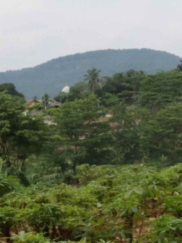 dijual tanah peruman parung hijau jl