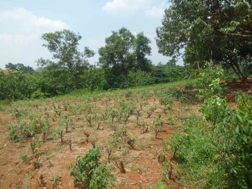 dijual tanah peruman parung hijau jl