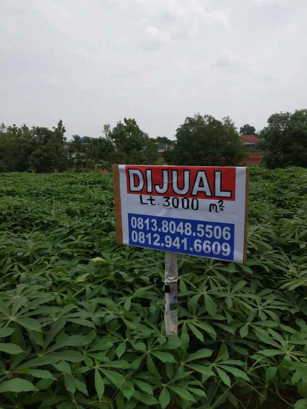 dijual tanah peruman parung hijau jl