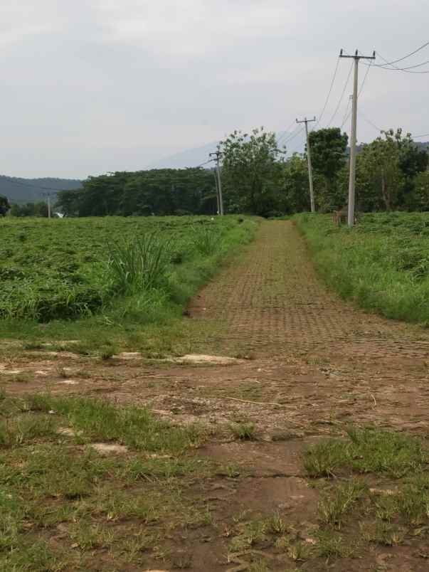 dijual tanah peruman parung hijau jl