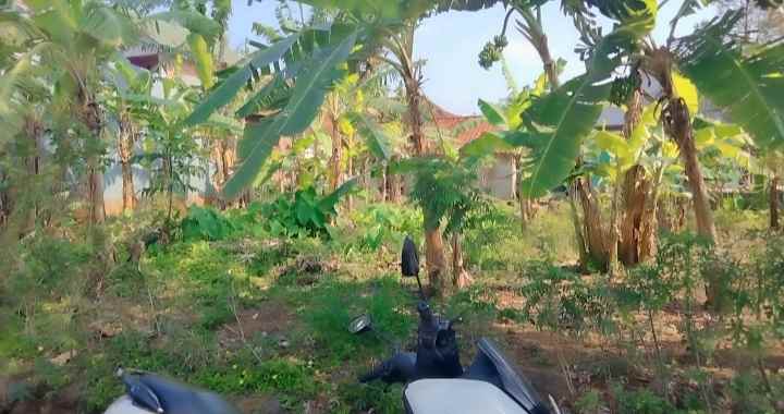 dijual tanah pinggir jl akses mobil