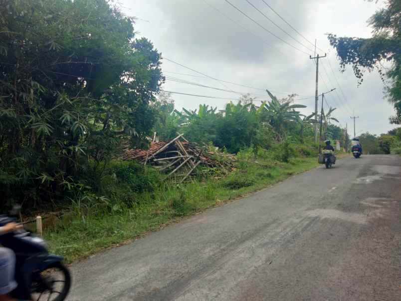 dijual tanah pinggir jl desa