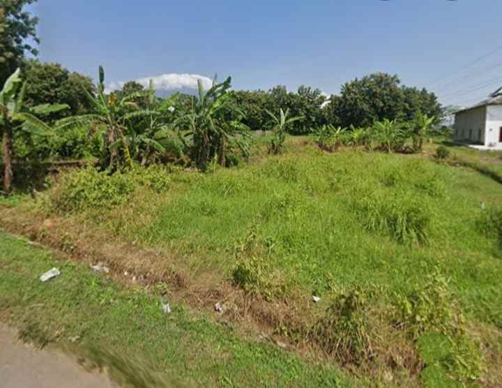 dijual tanah pinggir jl desa dekat masjid