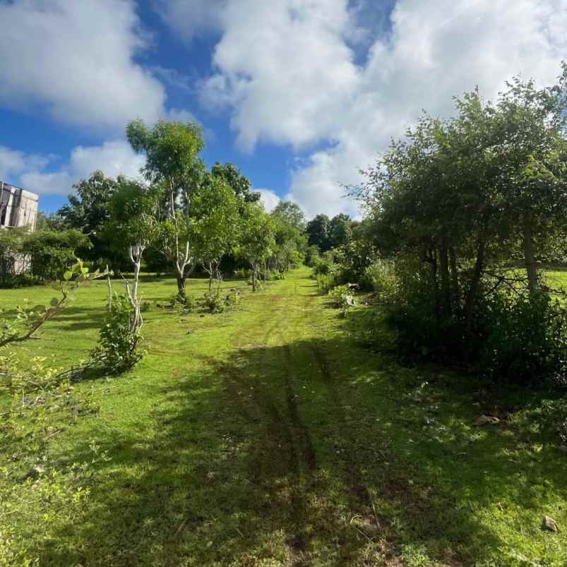 dijual tanah puri gading