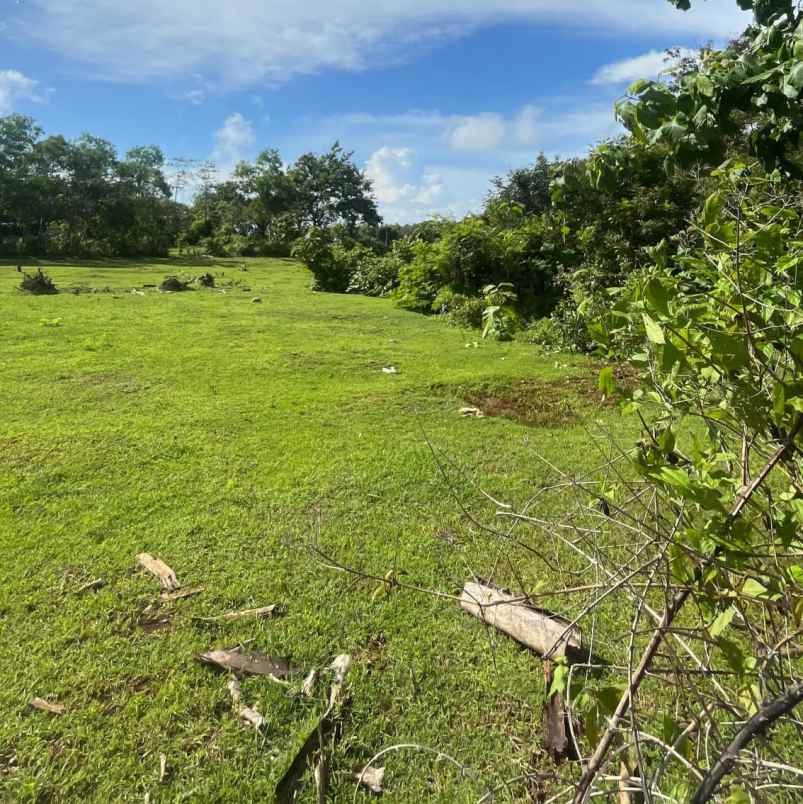 dijual tanah puri gading