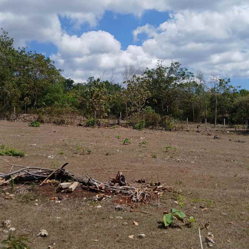 dijual tanah puri gading