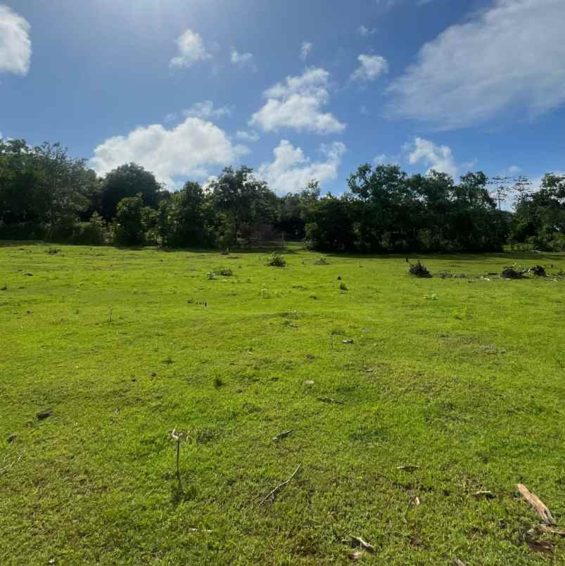 dijual tanah puri gading