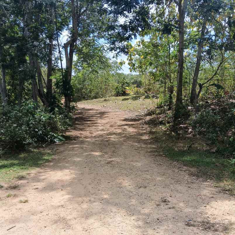 dijual tanah puri gading