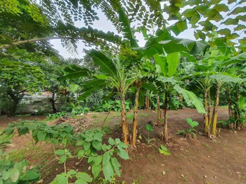 dijual tanah rangkapan jaya kec