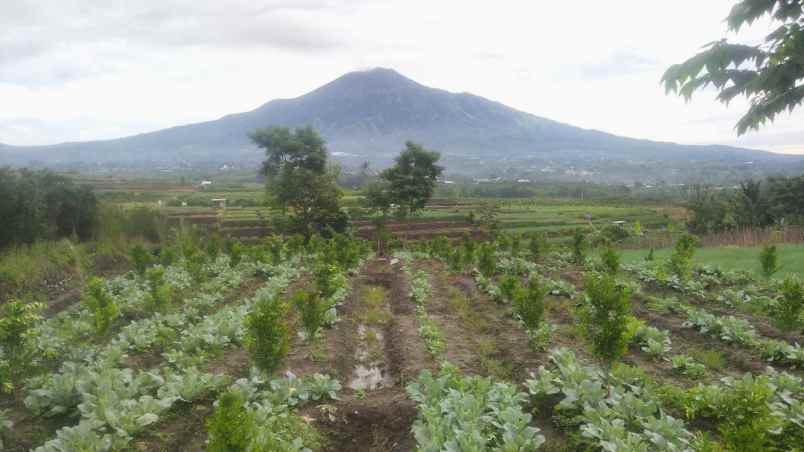 dijual tanah torongrejo junrejo batu