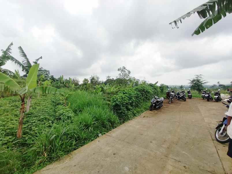 dijual tanah view gunung sawah asri alami
