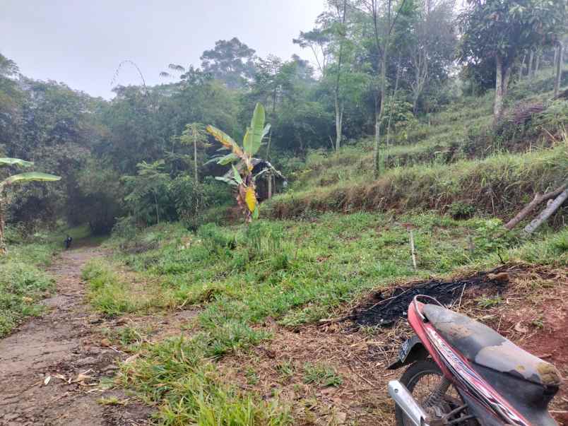 dijual tanah wargamekar