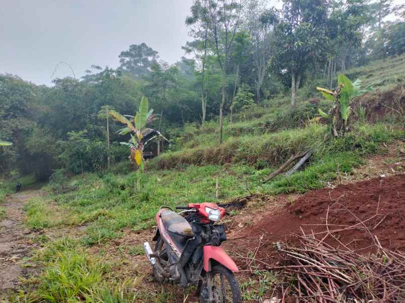 dijual tanah wargamekar