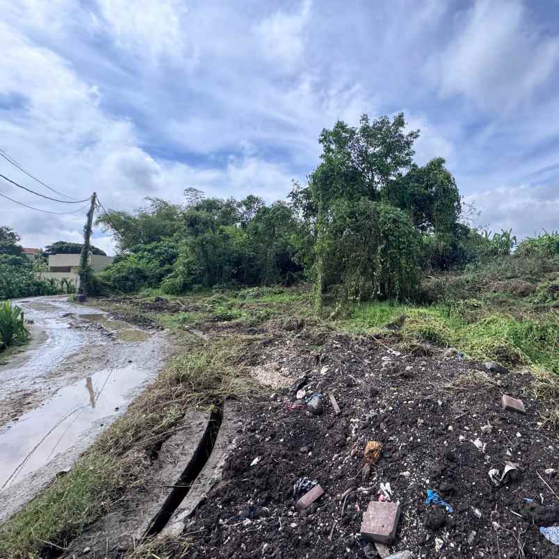 dikontrakan 25 are jl padonan veteran buduk mengwi