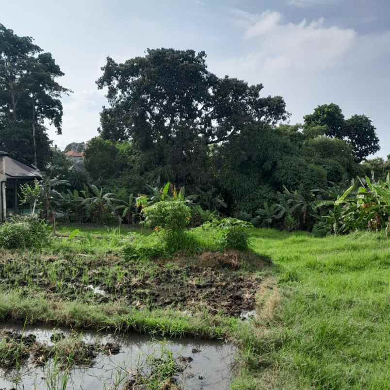 disewakan tanah umalas lestaru