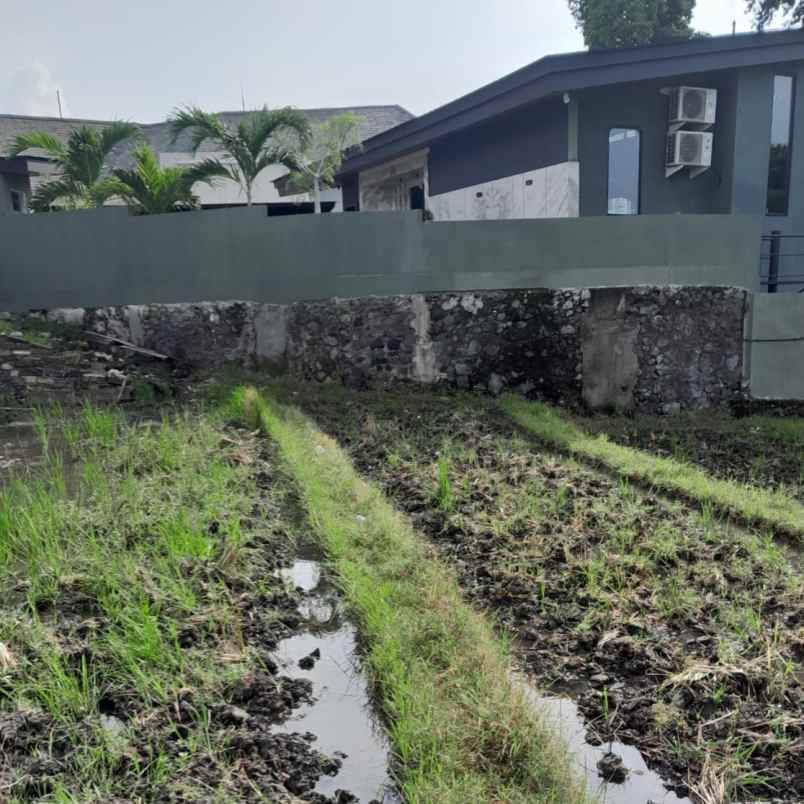 disewakan tanah umalas lestaru