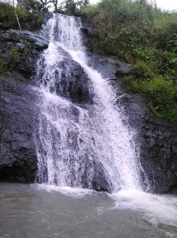 for sale lahan kebun cijambe subang jawa barat