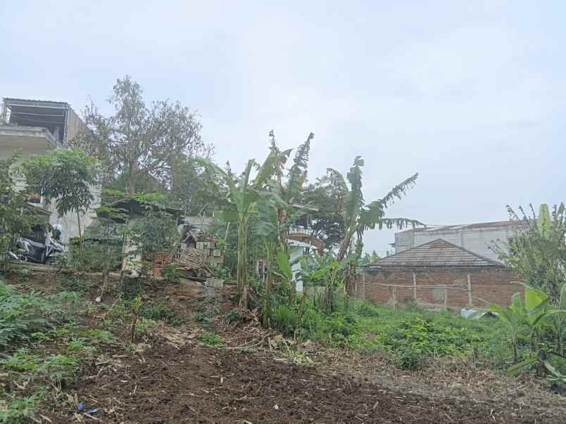 jual cepat tanah di cilame hanya 1 jutaan per meter