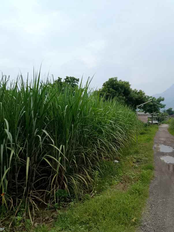 jual cepat tanah strategis