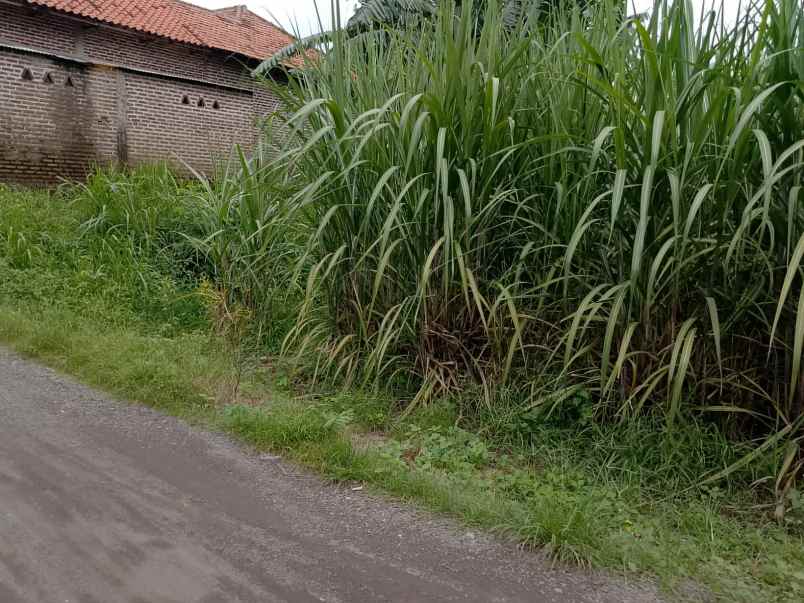 jual cepat tanah strategis