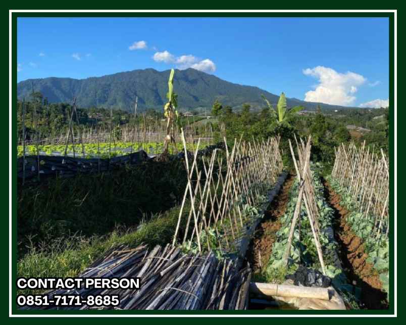 jual kavling villa lembang bandung