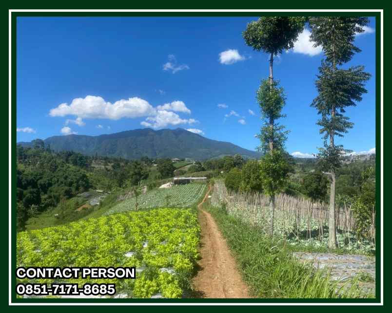 jual kavling villa lembang bandung