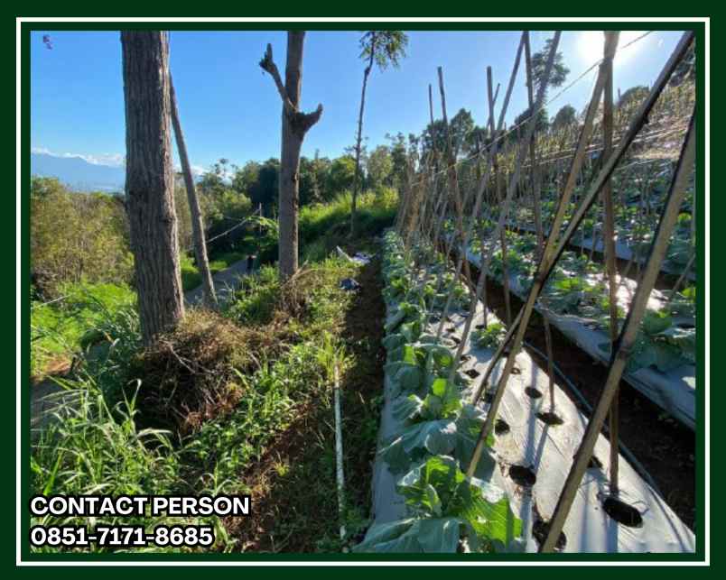 jual kavling villa lembang bandung