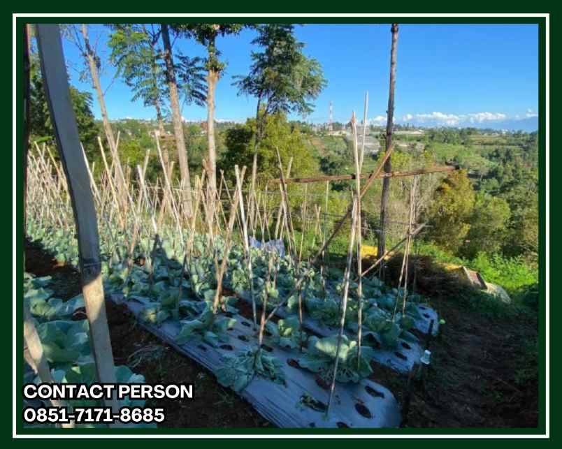 jual kavling villa lembang bandung