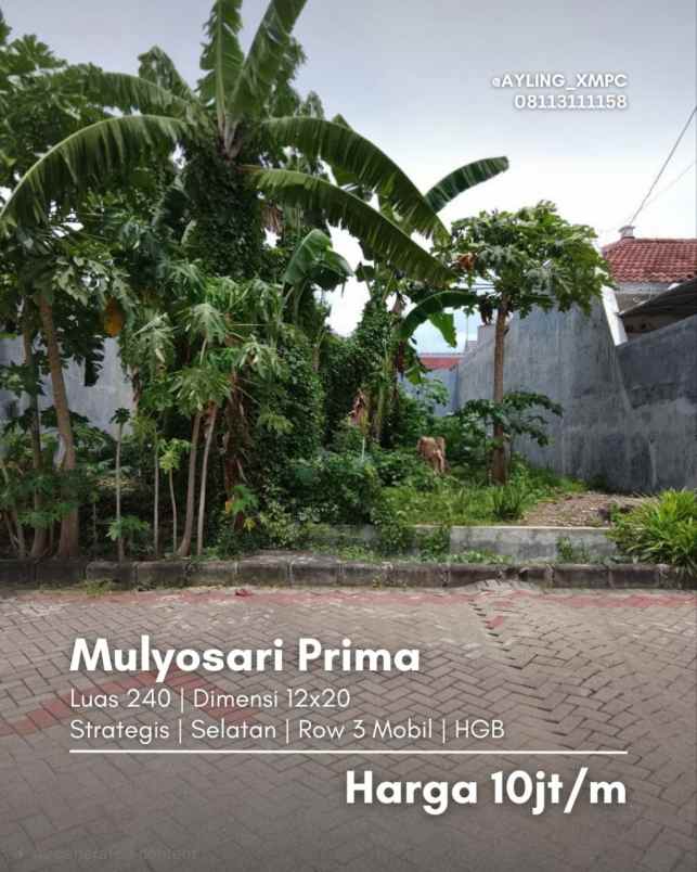 kavling mulyosari prima strategis row jalan 3 mobil