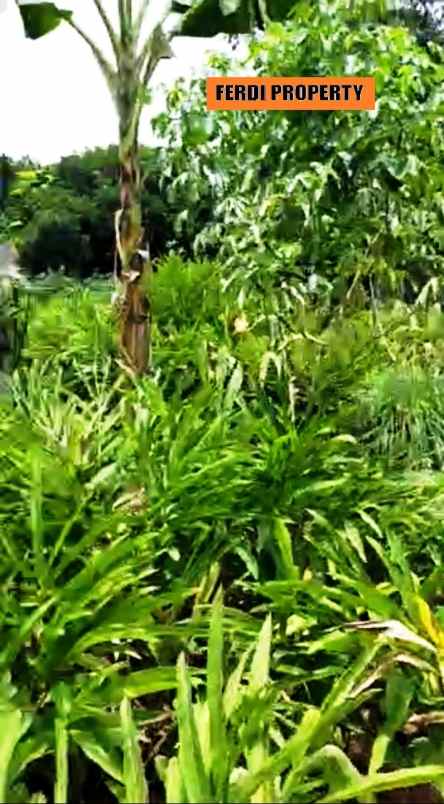 kavling pinggir jalan cikeas cibubur