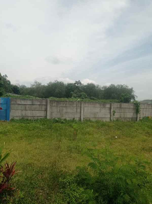 lahan kosong di samping gerbang tol sinaksak