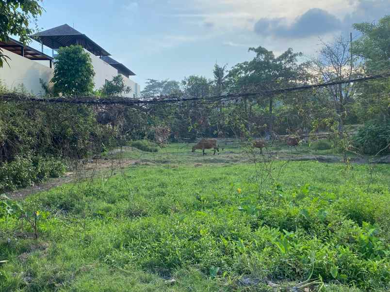 murah tanah di kawasan ketewel sukawati gianyar bali