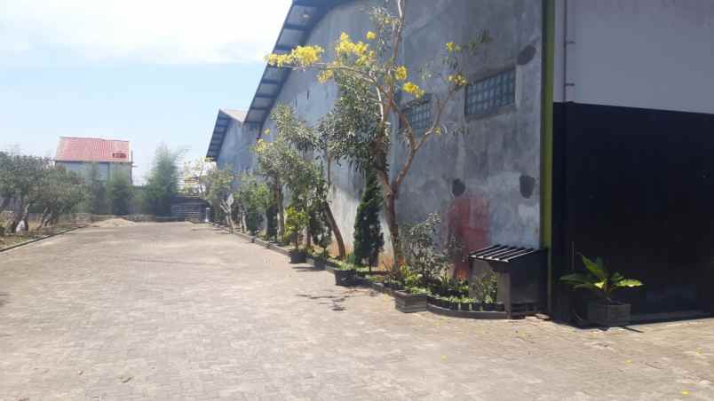 ruko gudang kantor raya rancaekek cicalengka