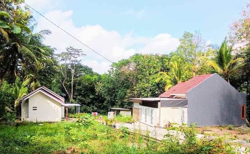 rumah murah di kulon progo yogyakarta