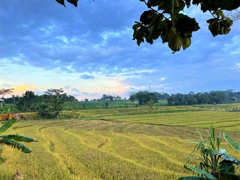 tanah 2240m2 jl raya mojogedang karanganyar