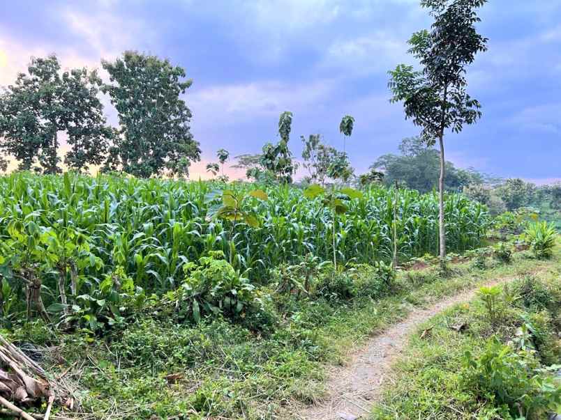 tanah 2240m2 jl raya mojogedang karanganyar