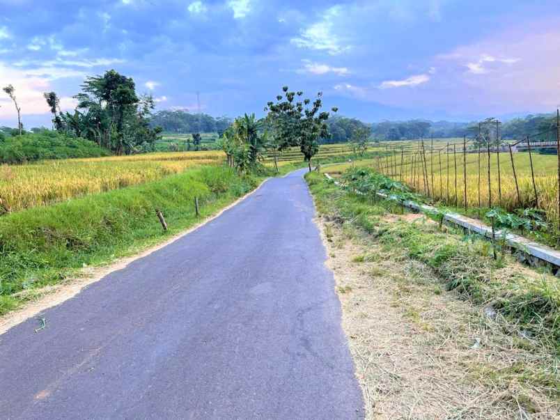 tanah 2240m2 jl raya mojogedang karanganyar