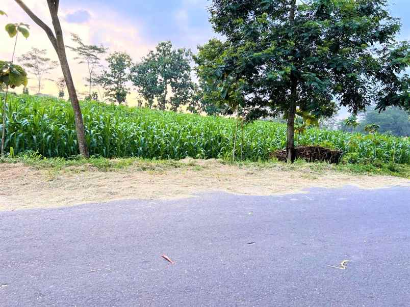 tanah 2240m2 jl raya mojogedang karanganyar