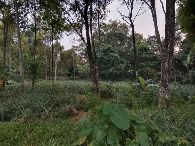 tanah darat strategis ciater subang