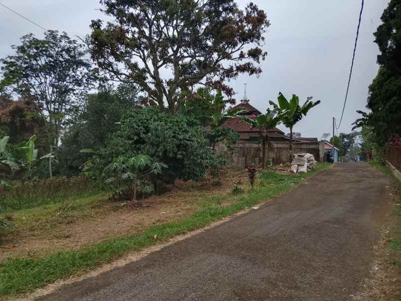 tanah dekat perkebunan teh ciater subang