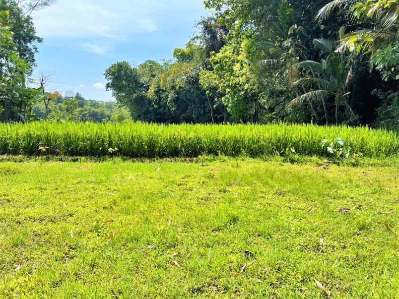 tanah dekat sungai sawah mojogedang karanganyar