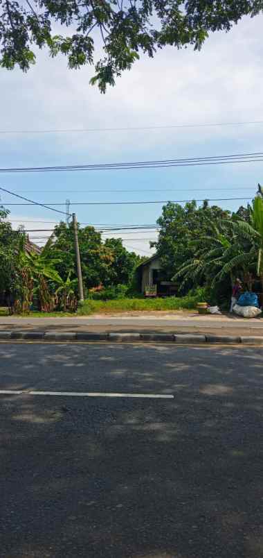 tanah dijual pantura losarang indramayu strategis