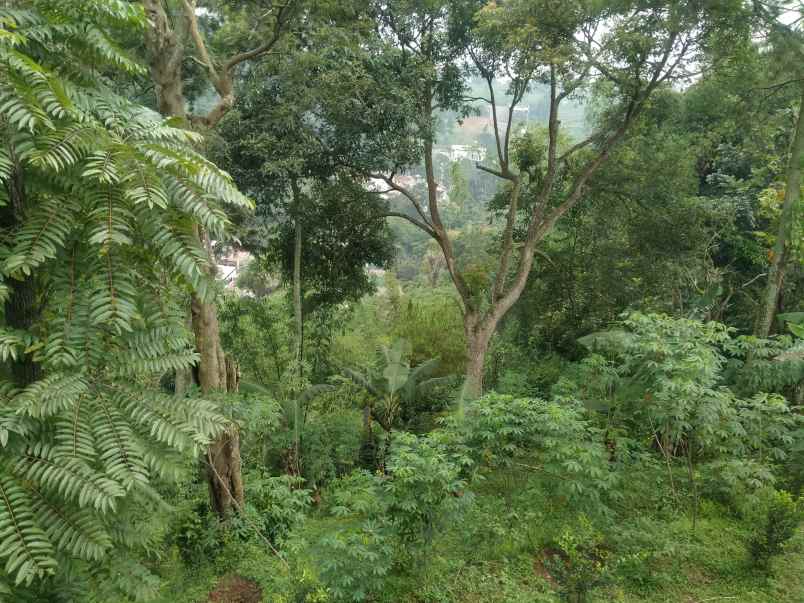 tanah dikawasan wisata dago giri bandung utara lembang