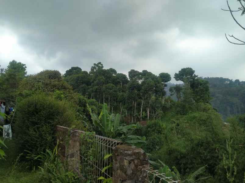 tanah dikawasan wisata dago giri bandung utara lembang