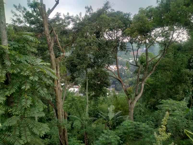 tanah dikawasan wisata dago giri bandung utara lembang